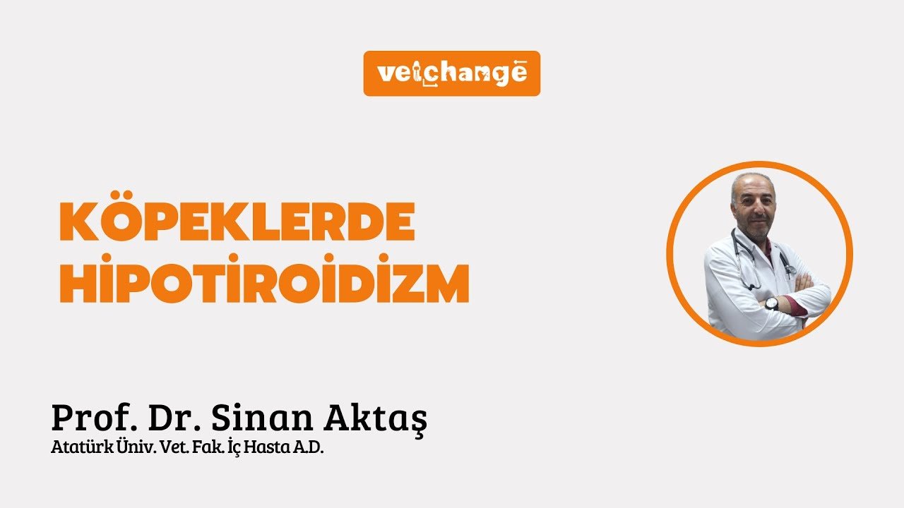 "Köpeklerde Hipotiroidizm" Prof. Dr. Sinan Aktaş